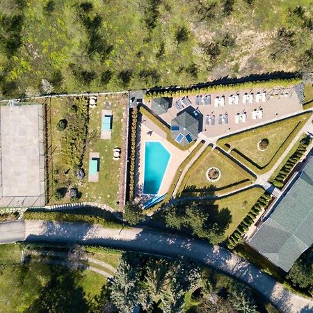 Suncani Breg Apartments Vrdnik Eksteriør billede